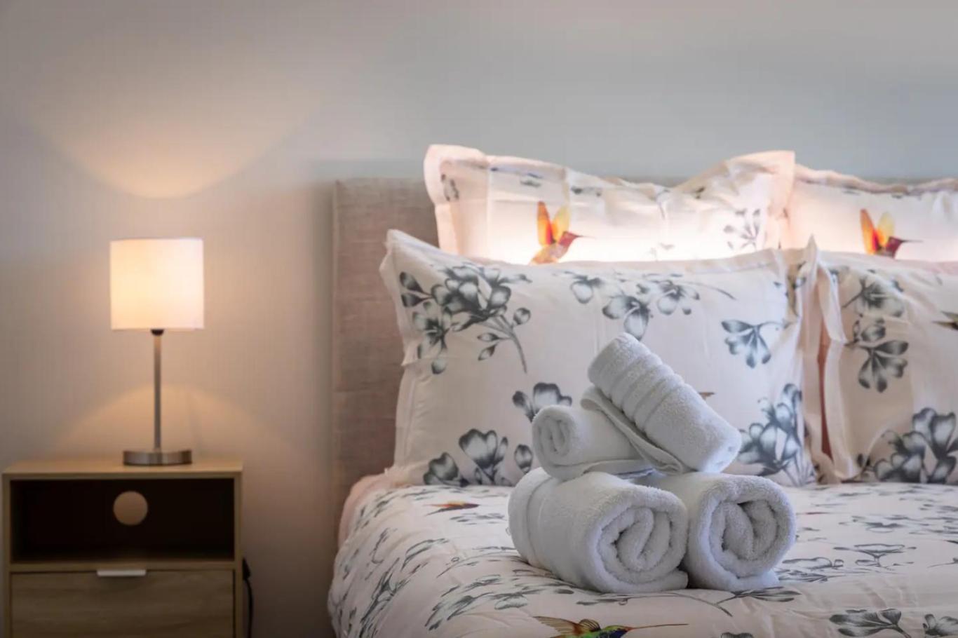 Discover A Brand New In Vibrant Chch *